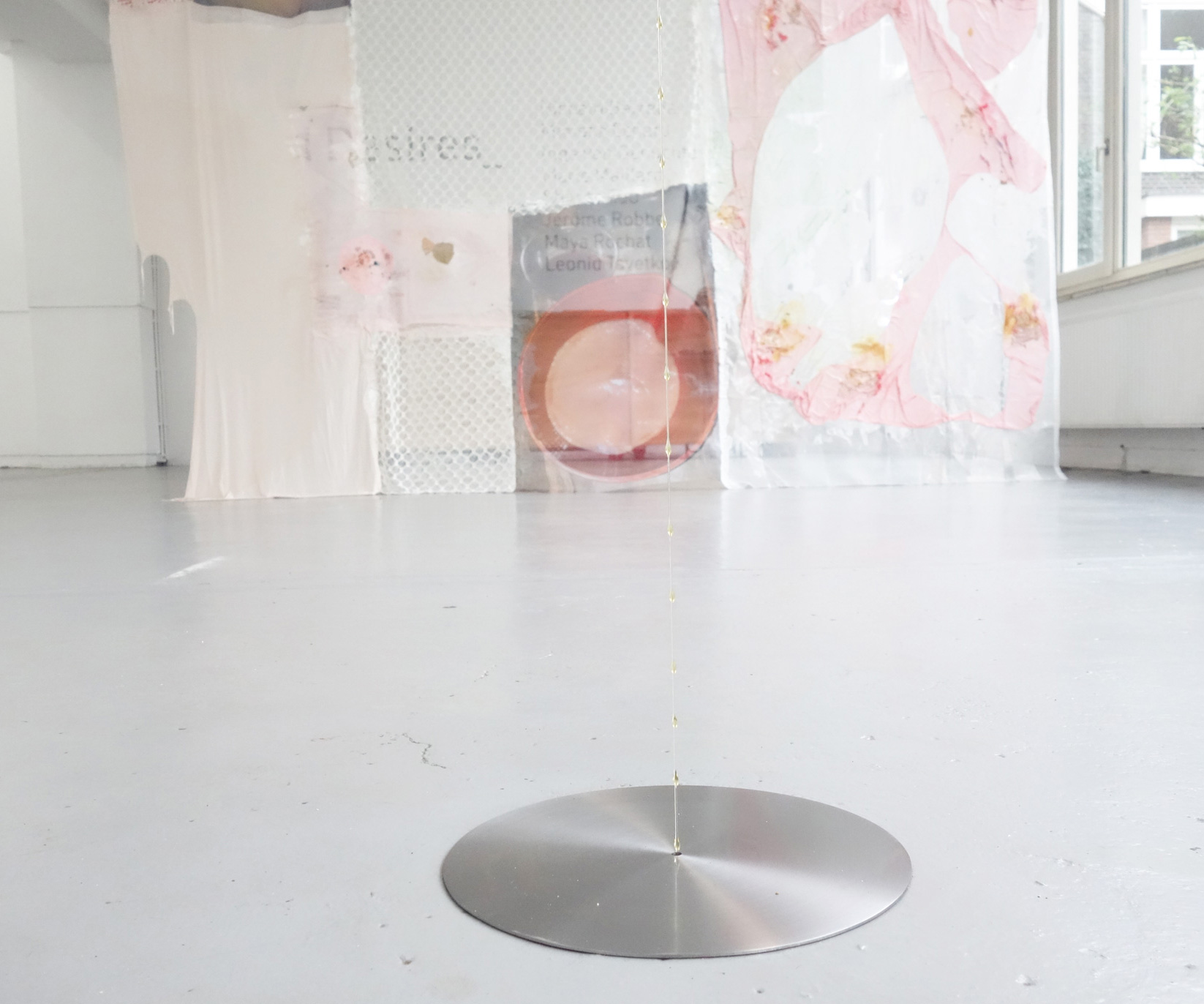 druppellijn: Inge van Genuchten, achter: Mimosa Echard